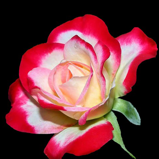 Themes Keyboard icon