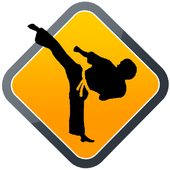 Taekwondo Self Training Lesson icon