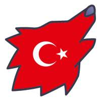 Wolk VPN - hızlı ve sınırsız