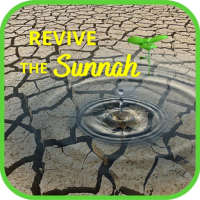 Revive The Sunnah on 9Apps