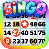 Bingo Games Offline from Home!