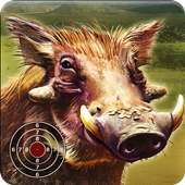 Warthog Hunter Real Training