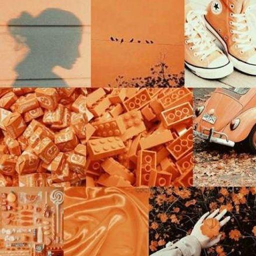 VSCO Girl Wallpaper icon