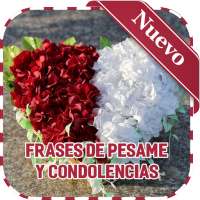 Frases de pésame y condolencias