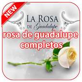 videos la rosa de guadalupe capitulos completos on 9Apps