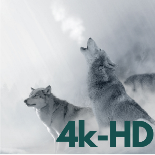 HD Wallpapers, 4k Backgrounds icon