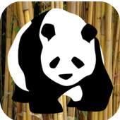 Cool Panda Match icon