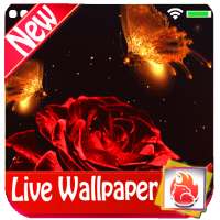 Magical Red Rose Live Wallpaper 2019 Red Rose on 9Apps