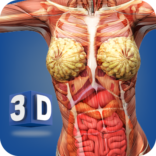 Female Anatomy 3D: Organs, Bones &amp; Skeleton icon