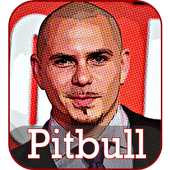 Pitbull Songs 2018 icon