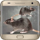 Mouse on Screen Scary أيقونة