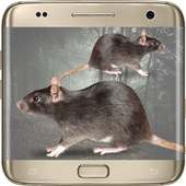 Mouse on Screen Scary on 9Apps