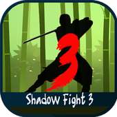 New Guide for Shadow Fight 3