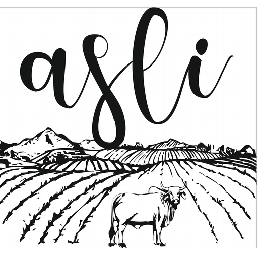 Asli icon