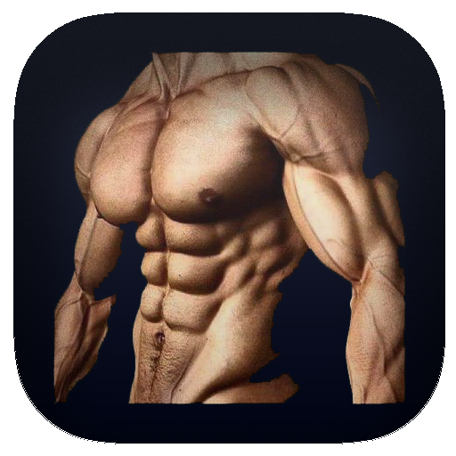 exercise ABS 2018 PRO icon