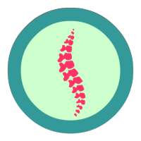 Scoliosis Advice on 9Apps