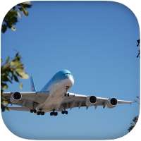 Airplane Flight Simulator 3D