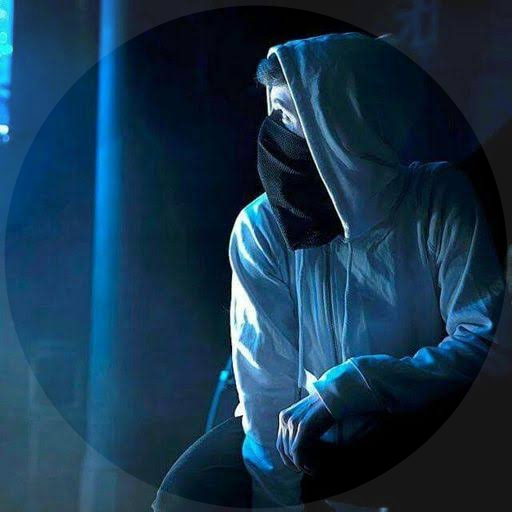 Lily - Alan Walker Offline icon