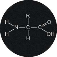 Amino Acids Quiz on 9Apps