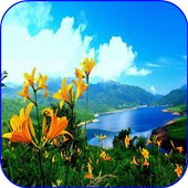 Nature Images For DP icon