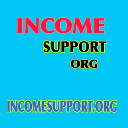 Income Support Mini icon