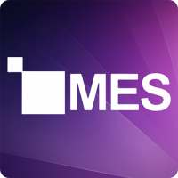 MES