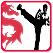 Karate Teacher icon
