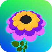 Color Flower : Color Petal 3D
