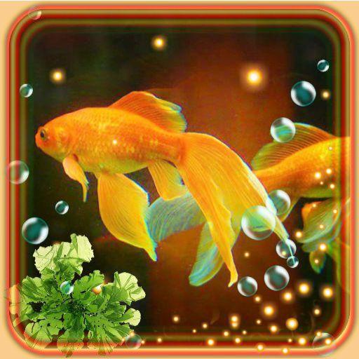 Aquarium Gold Fishes LWP icon