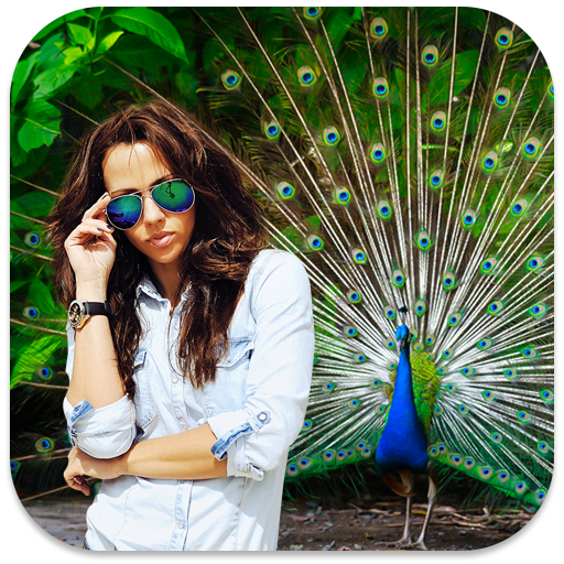 Peacock Photo Frames icon