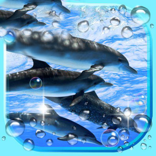 Dolphin Voice icon