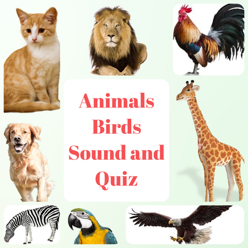 Animal and Bird Sound for Kids icon