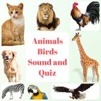 Animal and Bird Sound for Kids