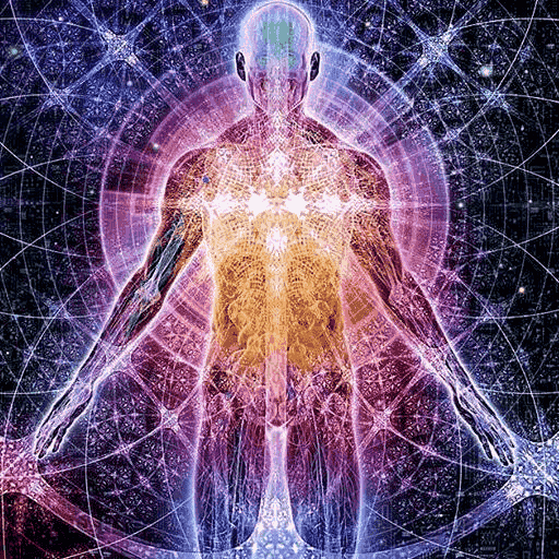 योगासन।Yoga in Hindi offline free icon