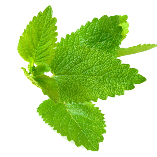 Şifalı Bitkiler (İnternetsiz) icon