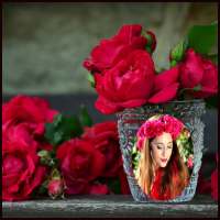Red Rose Photo Frames HD