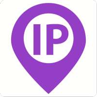 IP & Domain Info - VPN Check Tool