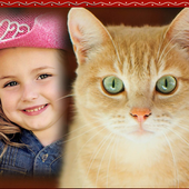Cat Frames icon
