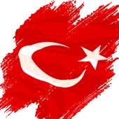 المساعدات المالية في تركيا