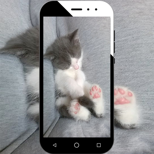 Cute Cat Wallpaper icon