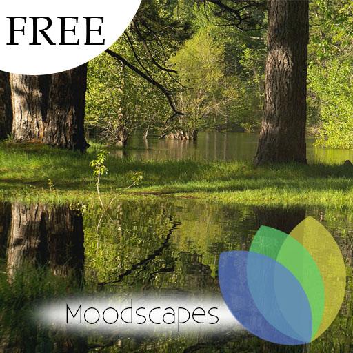 Still Pond for Google TV free icon