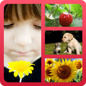 Ghep Anh | Khung Hinh icon