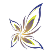 Social Enterprise Summit icon