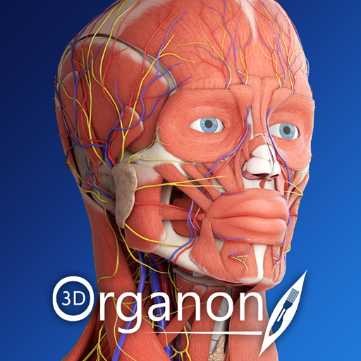 3D Organon Anatomy icon