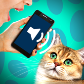 Cat translator audio joke icon