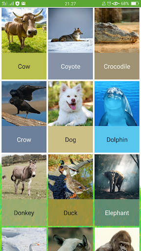 Animal Sounds screenshot 4