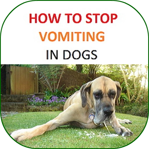 How to Stop Vomiting in Dogs icon
