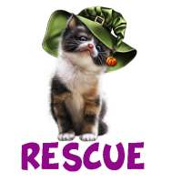 Cats Rescue
