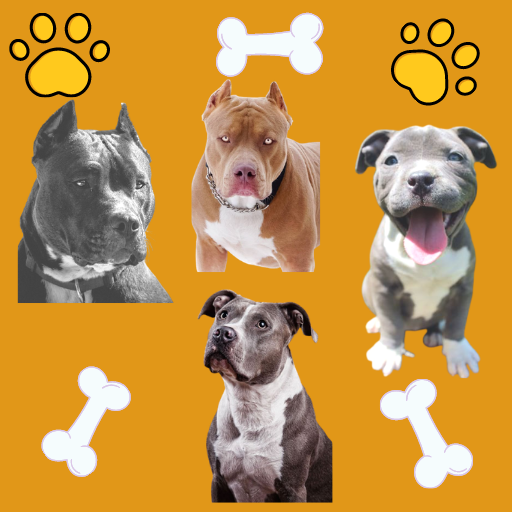 Pitbull Wallpaper:Pitbull Dog Images  Dog Cute أيقونة