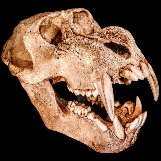 Horror Movies Free icon